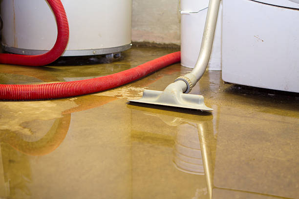Best Residential water damage restoration  in Lake Goodwin, WA